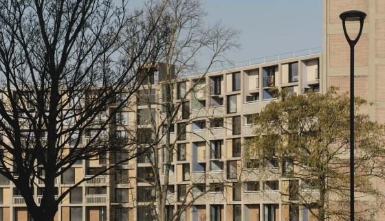 park hill