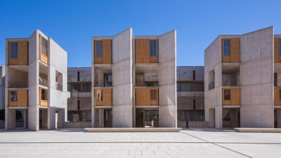 salk
